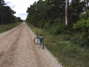 Cykeln på bilden markerar ungefärligt position för var i skogen, bredvid vägen, vattenverket kommer att placeras. Foto: Lennart Cantell